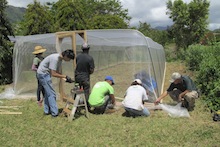 Making a screenhouse at Waimanalo Station